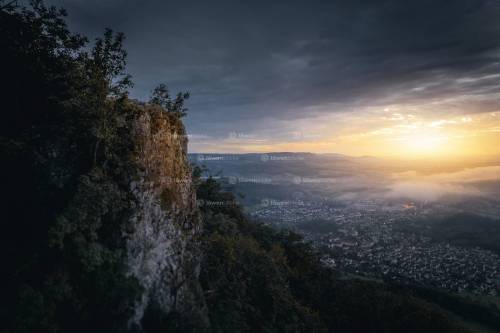 DANIEL GIMMER PHOTOGRAPHY LOEWENBLICKE 0172 Bearbeitet