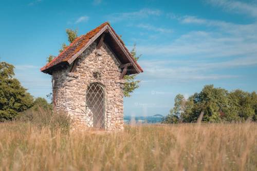 DANIEL GIMMER PHOTOGRAPHY LOEWENBLICKE 0491