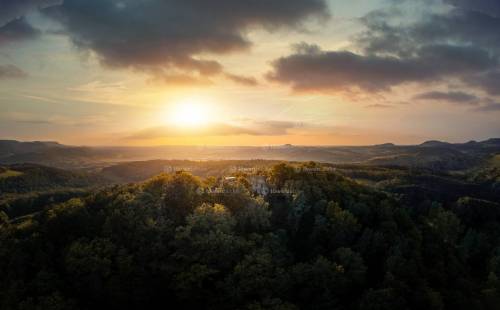 DANIEL GIMMER PHOTOGRAPHY LOEWENBLICKE 1008 Bearbeitet