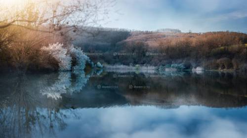 DANIEL GIMMER PHOTOGRAPHY LOEWENBLICKE 1666