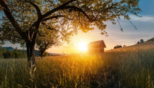 DANIEL GIMMER PHOTOGRAPHY LOEWENBLICKE 1267 Bearbeitet