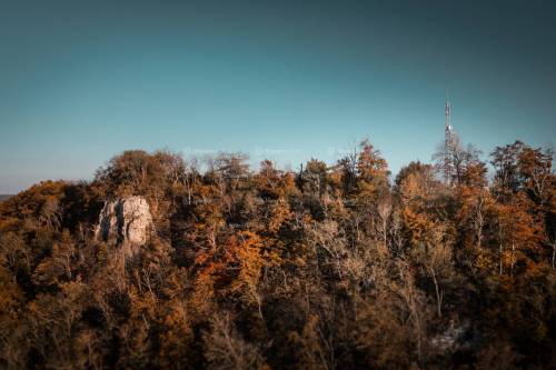 DANIEL GIMMER PHOTOGRAPHY LOEWENBLICKE 0554