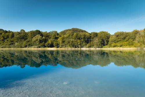 DANIEL GIMMER PHOTOGRAPHY LOEWENBLICKE 0108