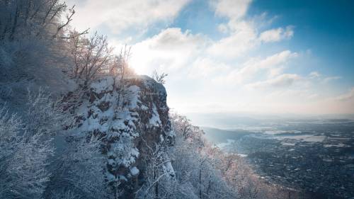 DANIEL GIMMER PHOTOGRAPHY LOEWENBLICKE 0384 Bearbeitet