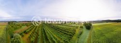 2024 08 22 Gemeinde Hattenhofen TOBIAS FROEHNER PHOTOGRAPHYV Pano 07 0133