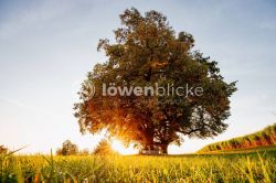 2024 08 23 Gemeinde Hattenhofen TOBIAS FROEHNER PHOTOGRAPHYV 1871