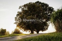 2024 08 23 Gemeinde Hattenhofen TOBIAS FROEHNER PHOTOGRAPHYV 1855