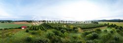 2024 08 22 Gemeinde Hattenhofen TOBIAS FROEHNER PHOTOGRAPHYV Pano 06 0132