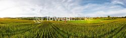 2024 08 12 Gemeinde Hattenhofen TOBIAS FROEHNER PHOTOGRAPHYV Pano  31 0737