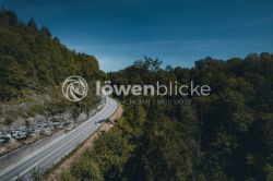 DANIEL GIMMER PHOTOGRAPHY LOEWENBLICKE 0997