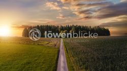 DANIEL GIMMER PHOTOGRAPHY LOEWENBLICKE 1764