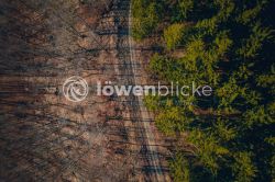 DANIEL GIMMER PHOTOGRAPHY LOEWENBLICKE 0625