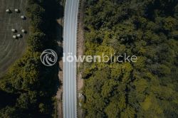 DANIEL GIMMER PHOTOGRAPHY LOEWENBLICKE 0994