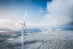 DANIEL GIMMER PHOTOGRAPHY LOEWENBLICKE 0353