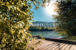 DANIEL GIMMER PHOTOGRAPHY LOEWENBLICKE 0104