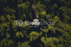 DANIEL GIMMER PHOTOGRAPHY LOEWENBLICKE 0406
