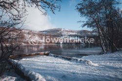DANIEL GIMMER PHOTOGRAPHY LOEWENBLICKE 0367