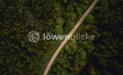 DANIEL GIMMER PHOTOGRAPHY LOEWENBLICKE 0779