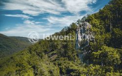 DANIEL GIMMER PHOTOGRAPHY LOEWENBLICKE 0404 Bearbeitet