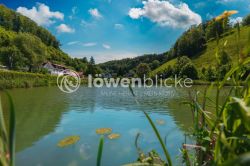 DANIEL GIMMER PHOTOGRAPHY LAUTERSTEIN 0108 Bearbeitet