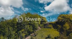 DANIEL GIMMER PHOTOGRAPHY LOEWENBLICKE 0426 Bearbeitet