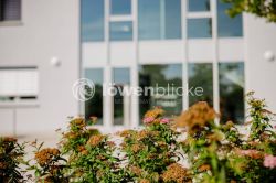 2023 08 17 Gemeinde Wangen TOBIAS FROEHNER PHOTOGRAPHY 0039